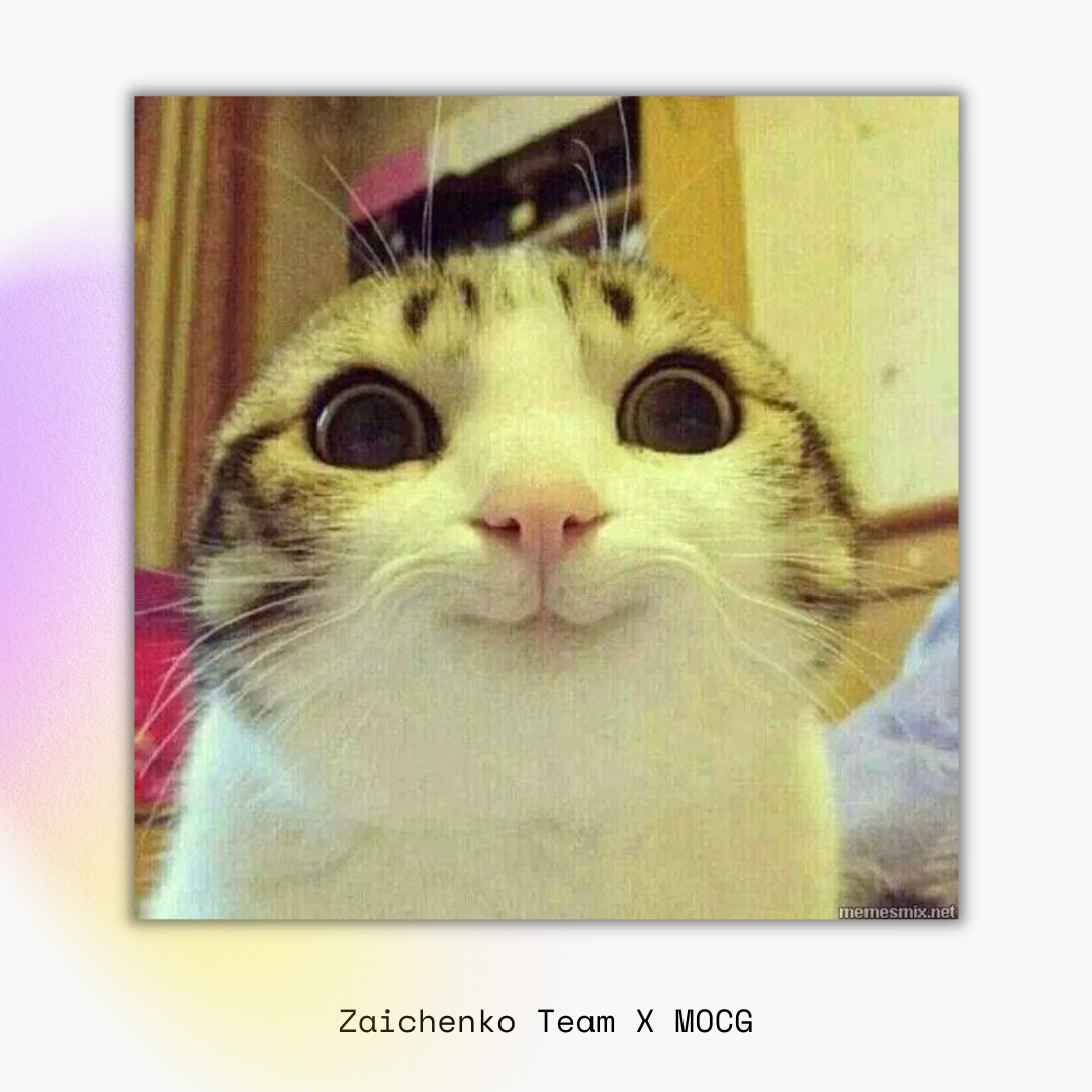 zaichenko team