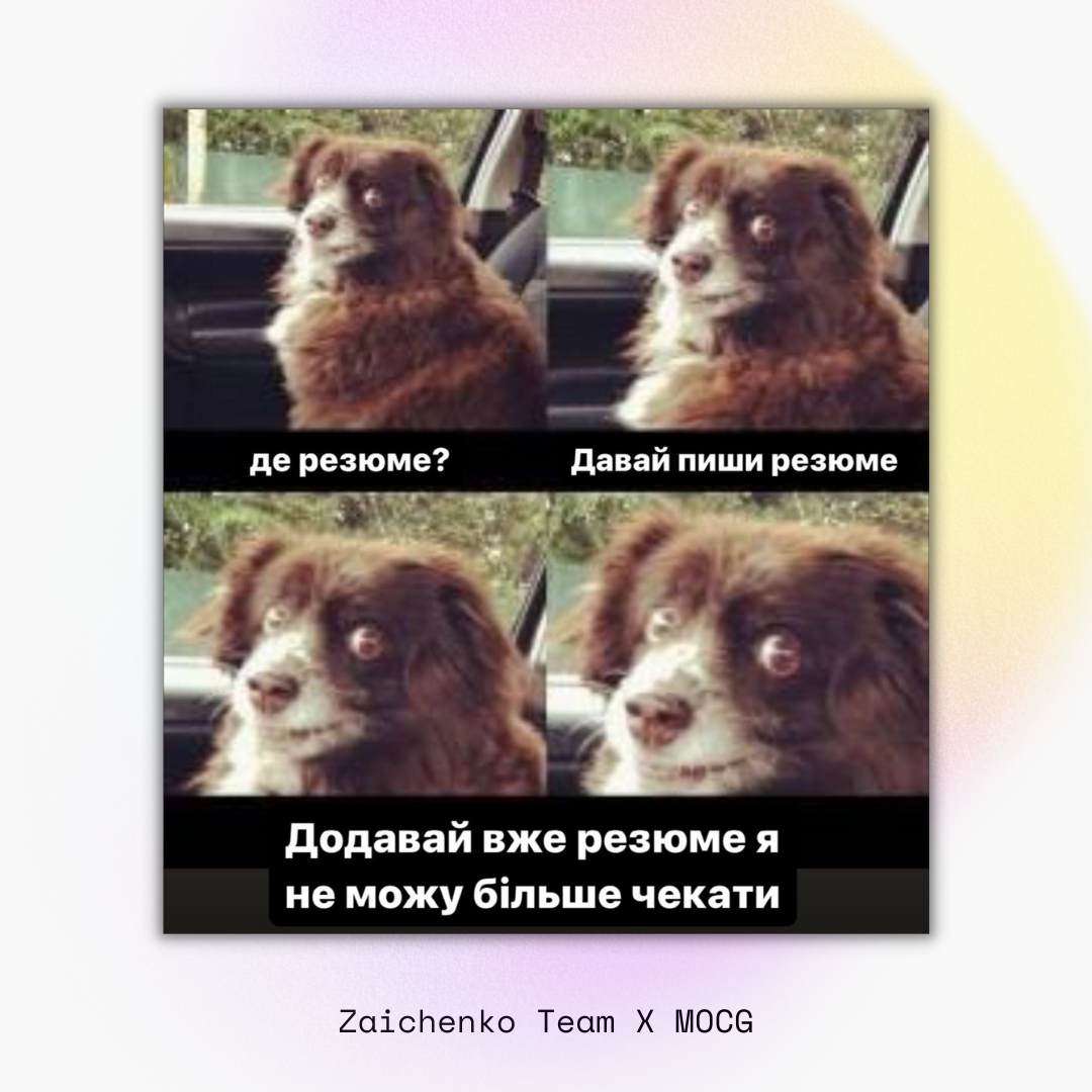 zaichenko team